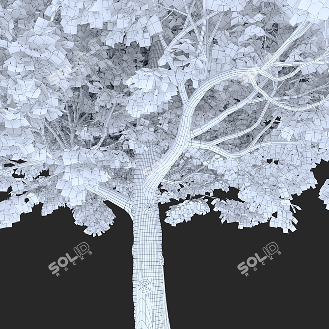 Field Maple Tree: Vray & Corona Ready 3D model image 5