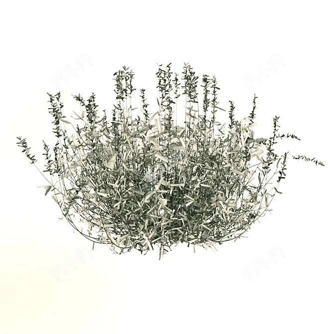 Ruellia Brittoniana: Stunning 2013 Plant 3D model image 4