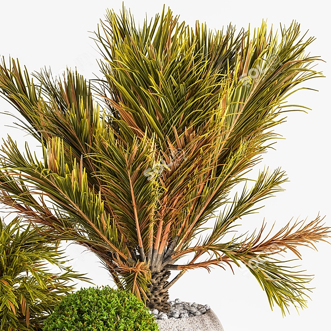 Outdoor Plants Tree 12: Stunning 3D Model 3D model image 3