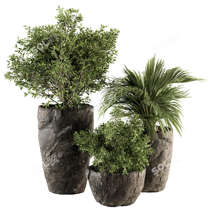 Rock Pot Indoor Plant Set 3D model image 1