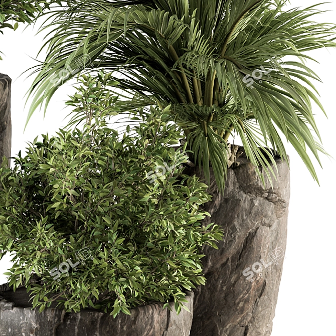 Rock Pot Indoor Plant Set 3D model image 2