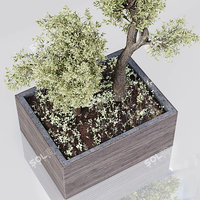 Luxury Indoor Plant: Model 012 3D model image 3