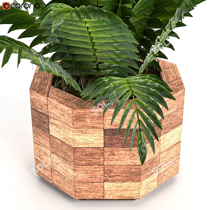 Leafy Green Beauties: Houseplants 07 3D model image 6