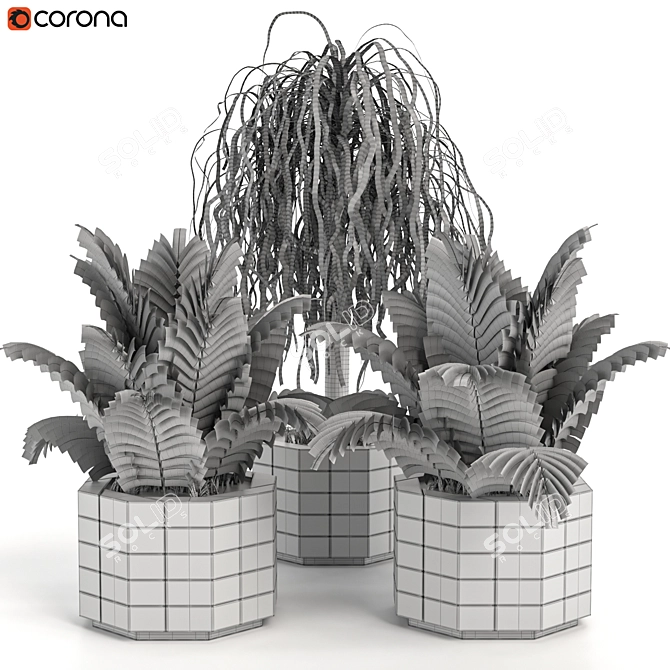 Leafy Green Beauties: Houseplants 07 3D model image 7