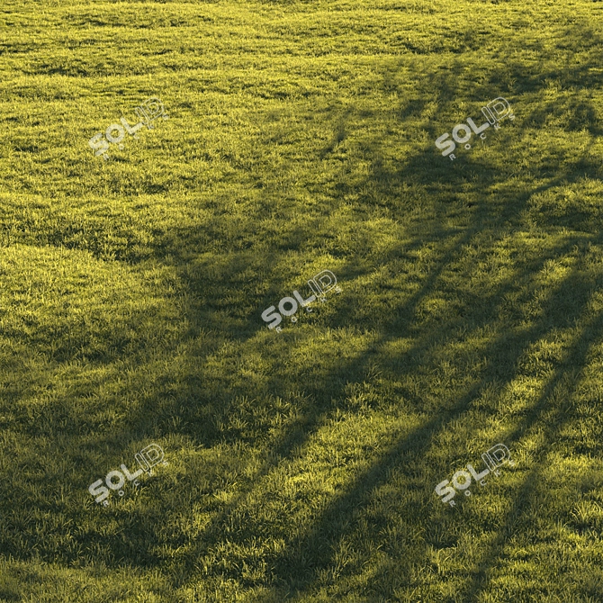 Lush Green Lawn Grass: High-Quality 3D Model 3D model image 5