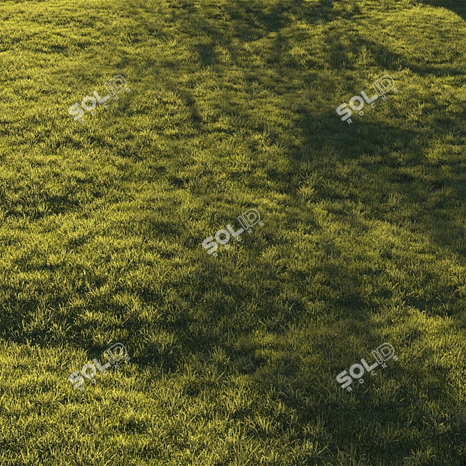 Lush Green Lawn Grass: High-Quality 3D Model 3D model image 6