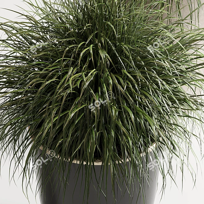 Concrete Vase: Indoor Plant Collection 3D model image 3