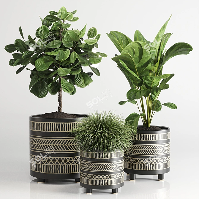 Handmade Pottery Vase for Indoor Plants 3D model image 1