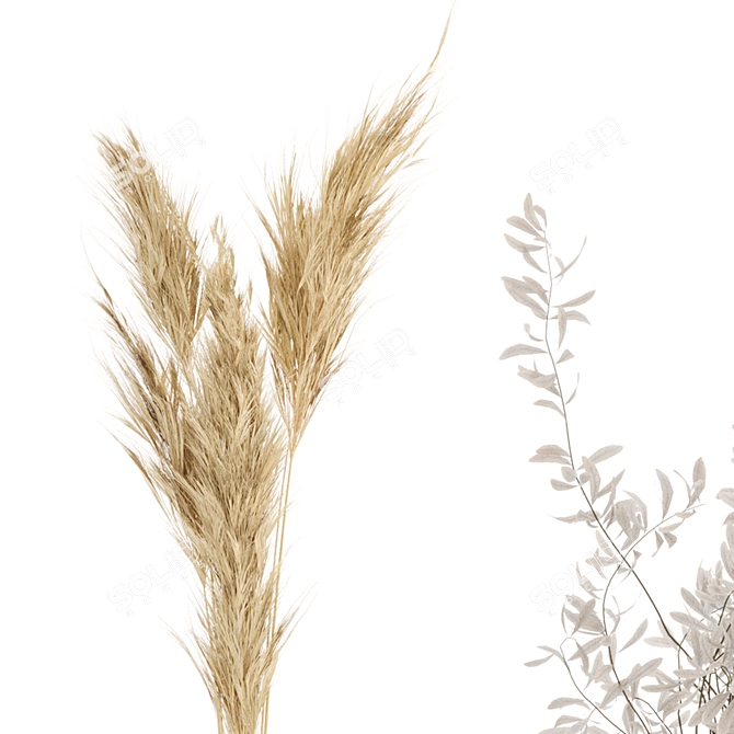 Natural Beauty: Dried Pampas with Concrete Vase 3D model image 4