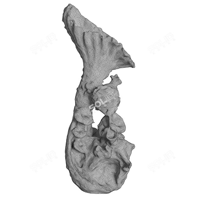 Sculpt 2 Unwrapped 3D Model 3D model image 13