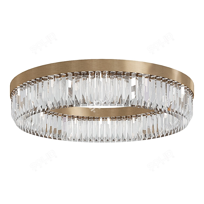 Riflessi Ceiling Chandelier by Patrizia Volpato 3D model image 3