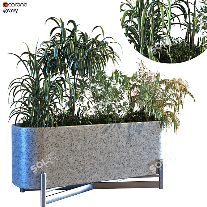 Lush Green Plant Box Set 3D model image 1