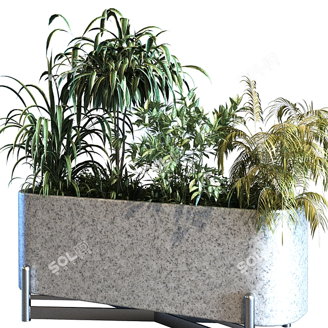 Lush Green Plant Box Set 3D model image 2