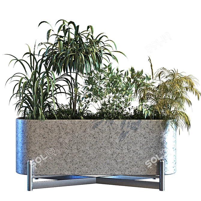 Lush Green Plant Box Set 3D model image 3