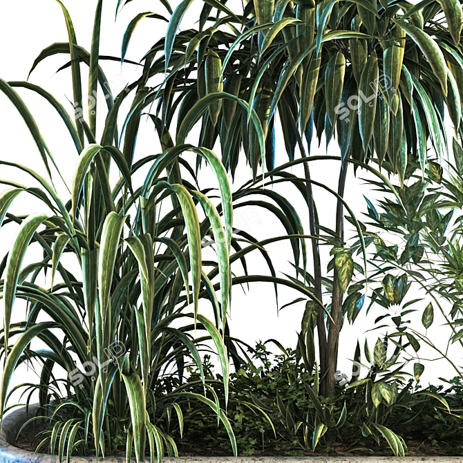 Lush Green Plant Box Set 3D model image 5