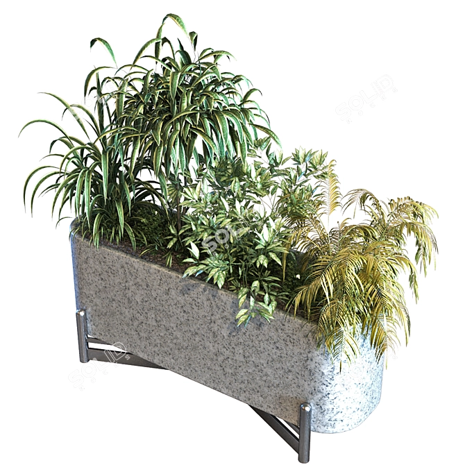 Lush Green Plant Box Set 3D model image 6
