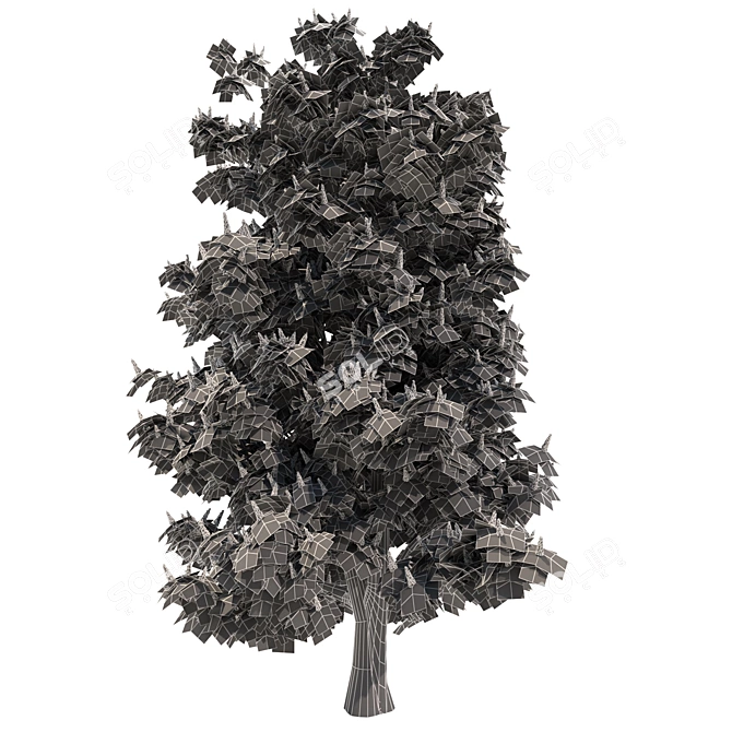 Blooming Chestnut Tree - 3D Model 3D model image 7