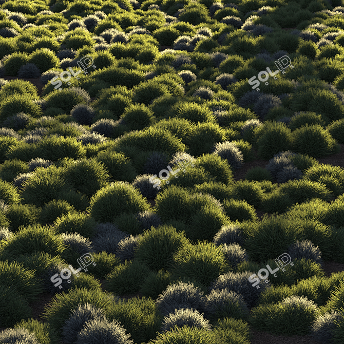 Unique Title: "Evergreen Meadow Grass 3D model image 1