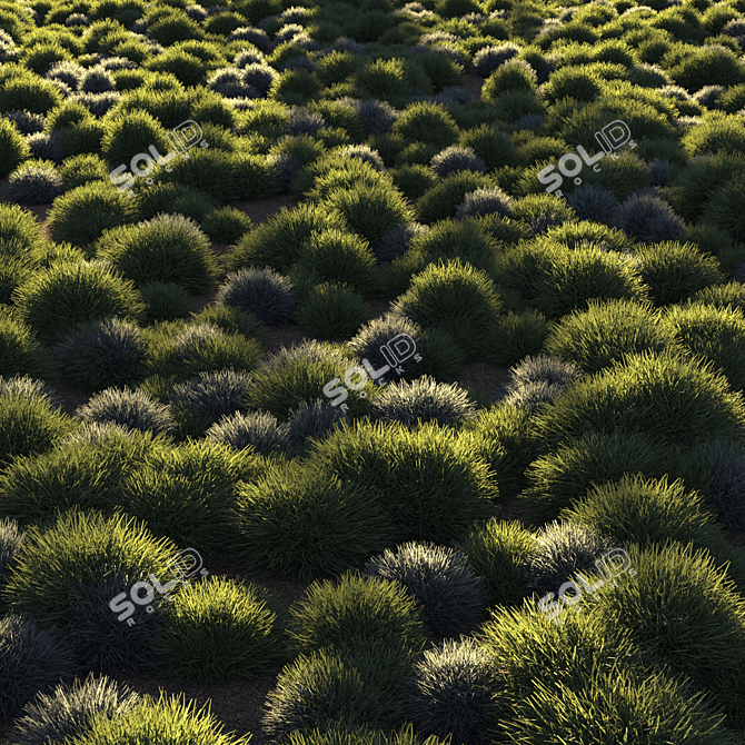 Unique Title: "Evergreen Meadow Grass 3D model image 4