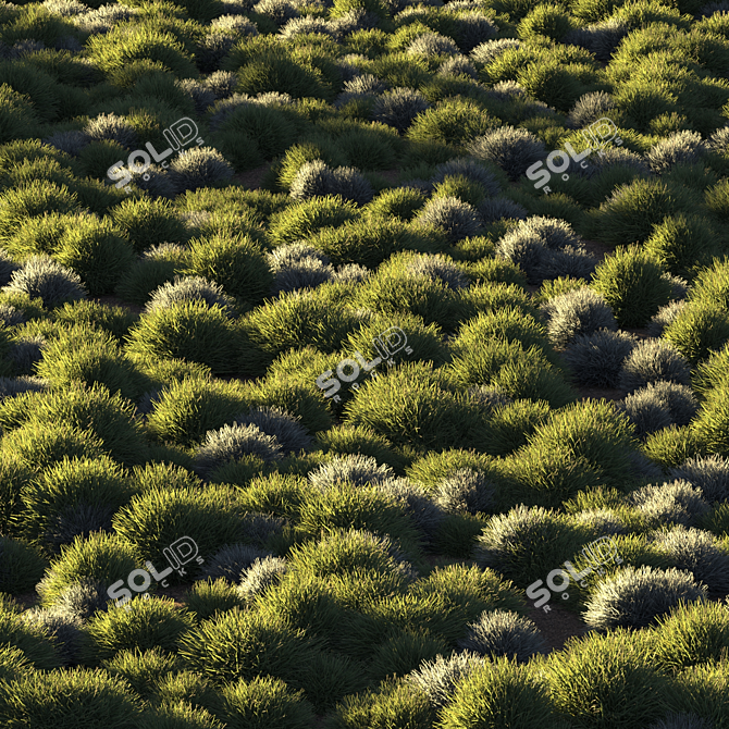 Unique Title: "Evergreen Meadow Grass 3D model image 5