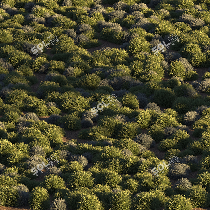 Unique Title: "Evergreen Meadow Grass 3D model image 6