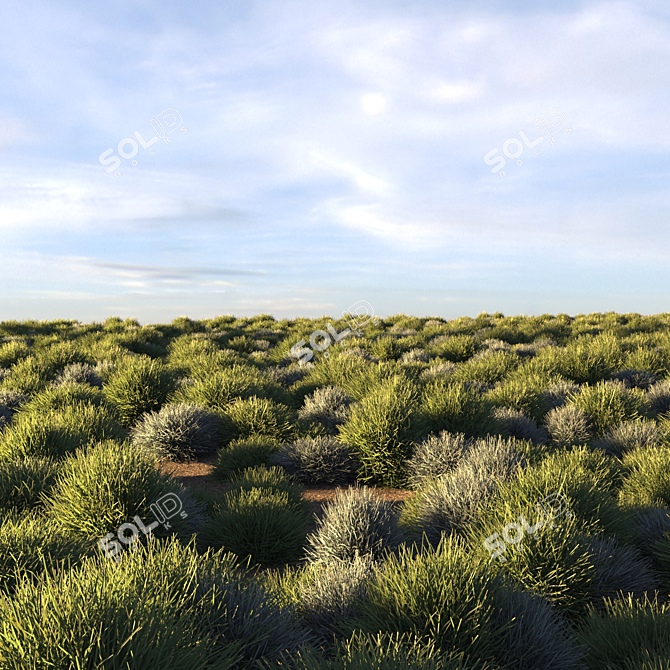 Unique Title: "Evergreen Meadow Grass 3D model image 7