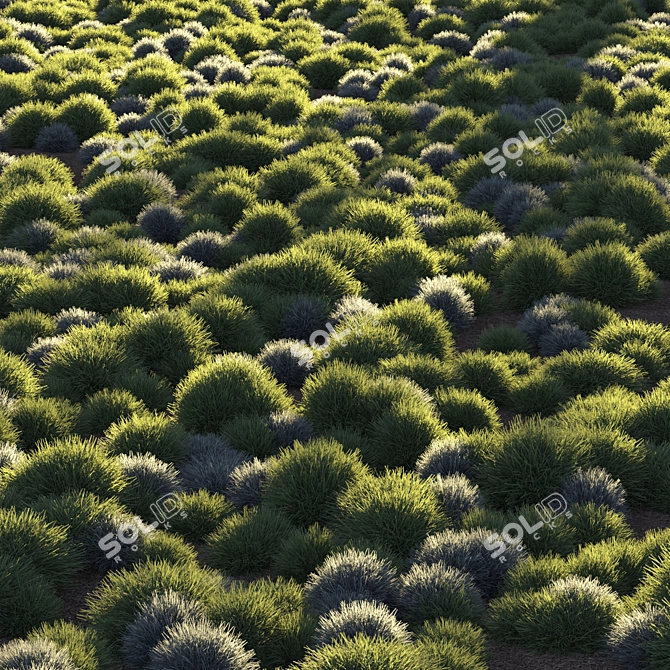 Unique Title: "Evergreen Meadow Grass 3D model image 10