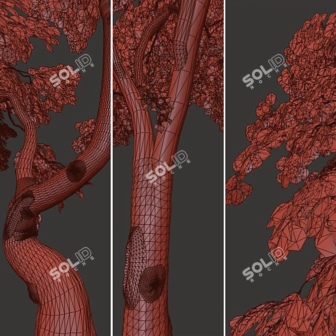 Exquisite Japanese Maple Duo 3D model image 5