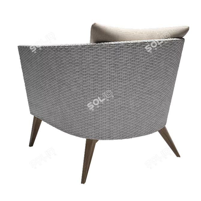 Aegis Rattan Lounge Chair: Elegant, Comfortable, and Durable 3D model image 3
