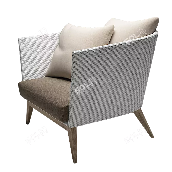 Aegis Rattan Lounge Chair: Elegant, Comfortable, and Durable 3D model image 4