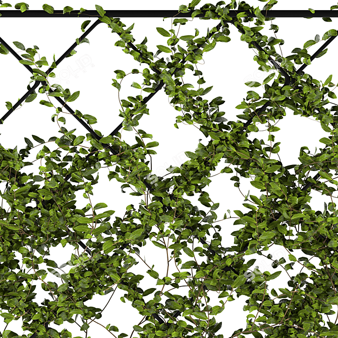 Lush Ivy Plant Set: 3Dmax Models 3D model image 3