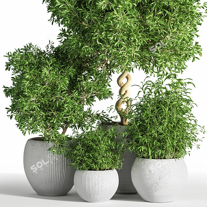26-Piece Indoor Plant Set: Beautiful Rendrings 3D model image 2