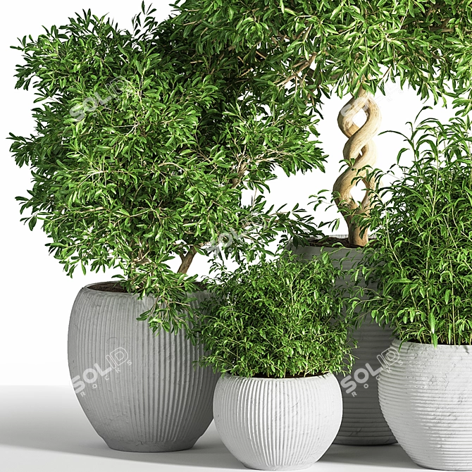 26-Piece Indoor Plant Set: Beautiful Rendrings 3D model image 3