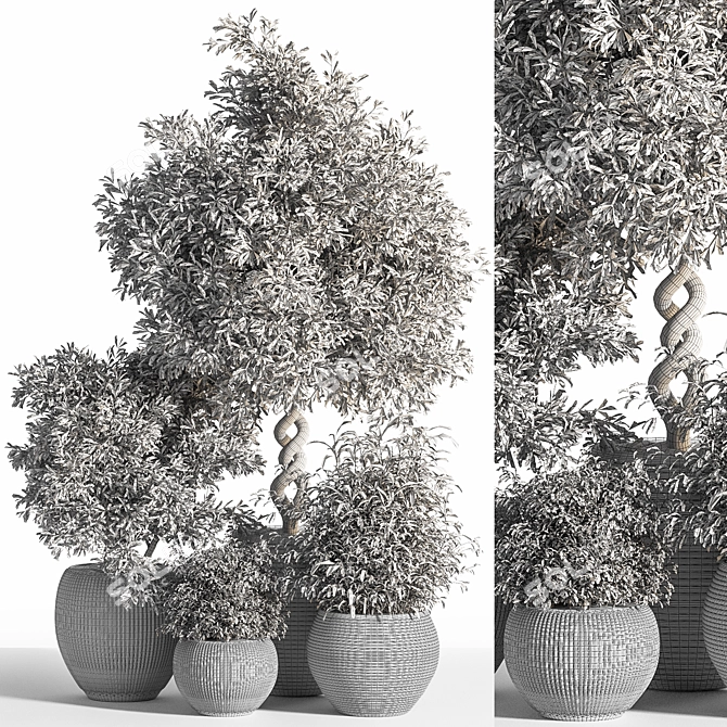 26-Piece Indoor Plant Set: Beautiful Rendrings 3D model image 7