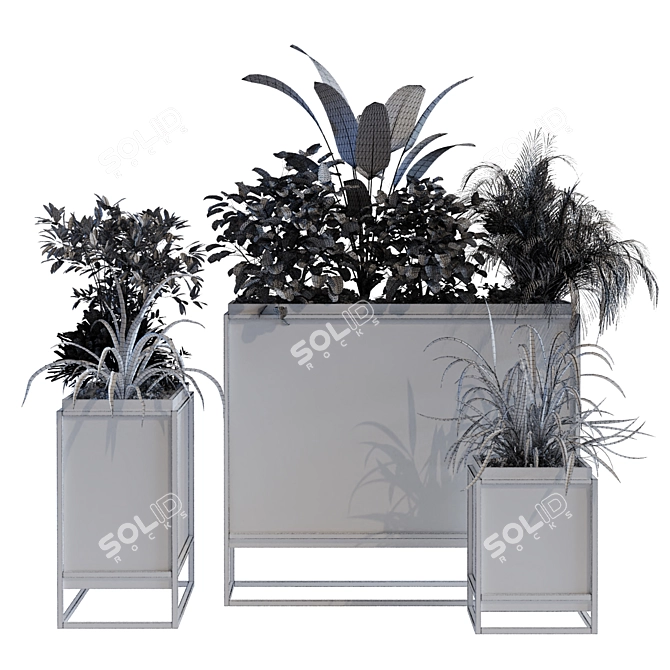 Elegant Indoor Plant Box Set 3D model image 1