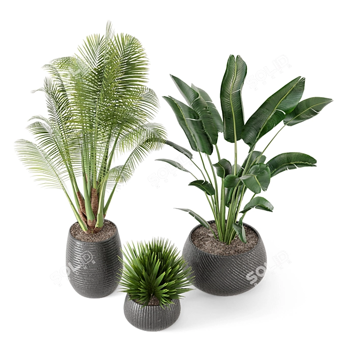 Green Oasis Indoor Plant Set 3D model image 2