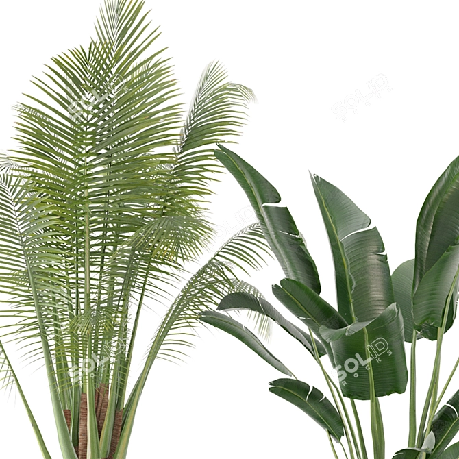 Green Oasis Indoor Plant Set 3D model image 4