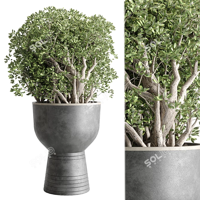 Outdoor Plant Collection: 29 Concrete Vase 3D model image 4