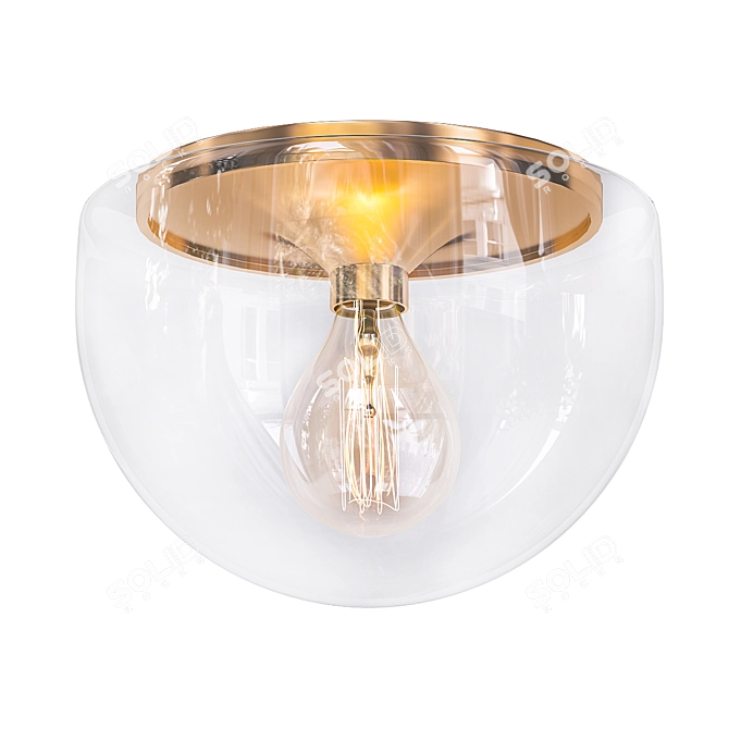 Elegant Raya Flush Mount Light 3D model image 1