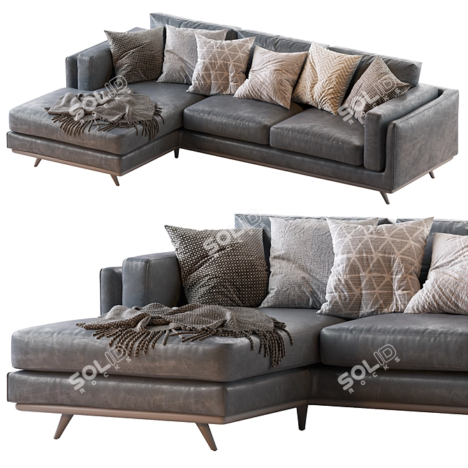 Modern Zander 2pc Chaise Sectional Sofa 3D model image 1