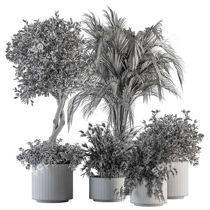 Green Oasis Indoor Plant Set 3D model image 6