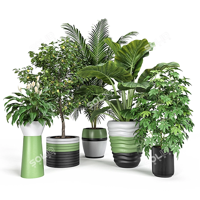 Exquisite Indoor & Outdoor Plant Set 3D model image 1