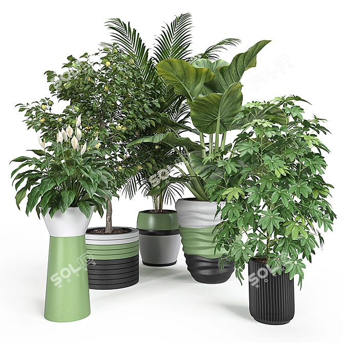 Exquisite Indoor & Outdoor Plant Set 3D model image 4