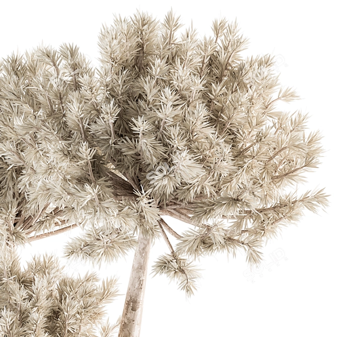 Elegant Bliss - Dried Plants in Black & Gold 3D model image 3