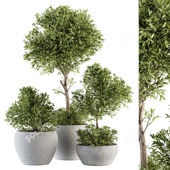 Eco-Serene Indoor Plant Set 3D model image 1