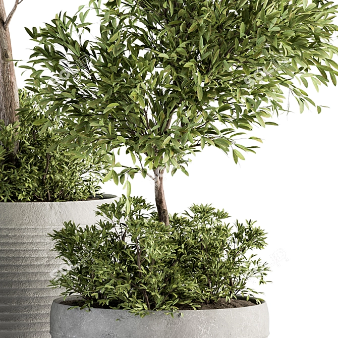 Eco-Serene Indoor Plant Set 3D model image 4