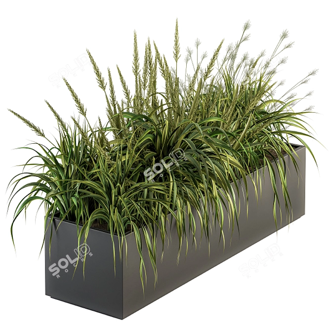 Lush Green Outdoor Grass Kit 3D model image 1