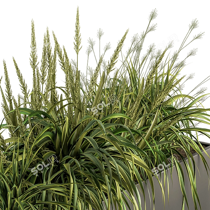 Lush Green Outdoor Grass Kit 3D model image 3