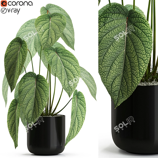 538 Plants Collection: Vast & Vibrant! 3D model image 1