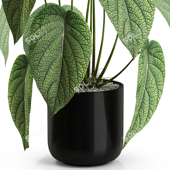 538 Plants Collection: Vast & Vibrant! 3D model image 2